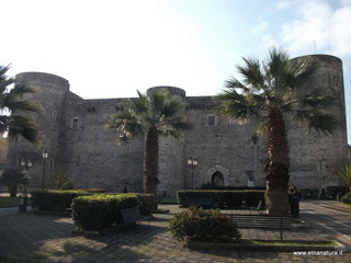 stello Ursino-12-03-2014 08-46-43